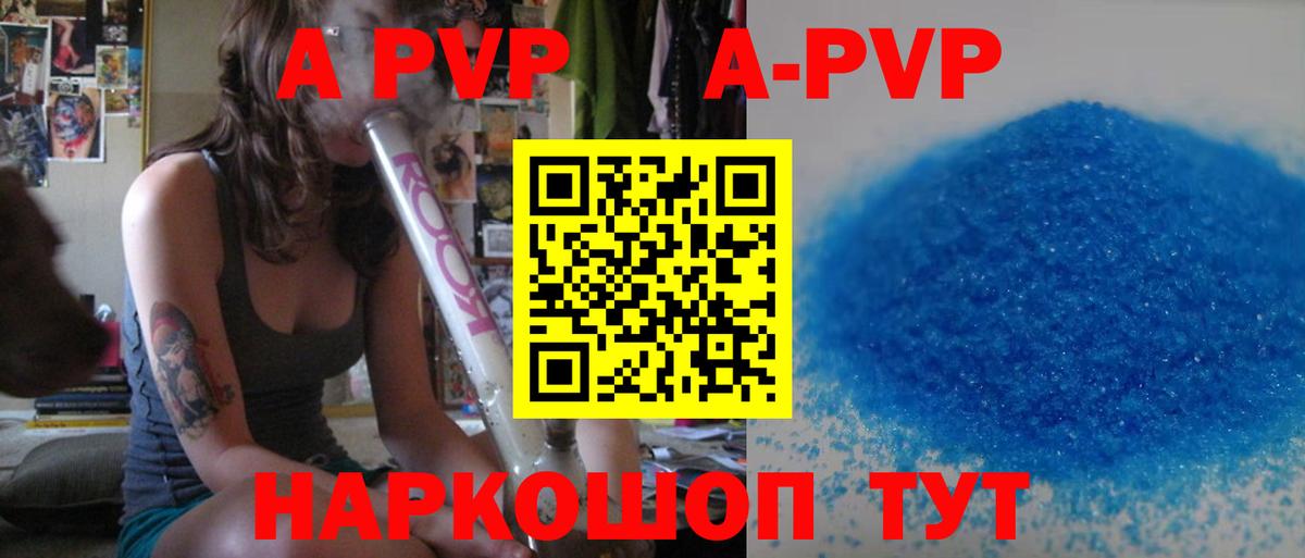 A-PVP СК Новочеркасск